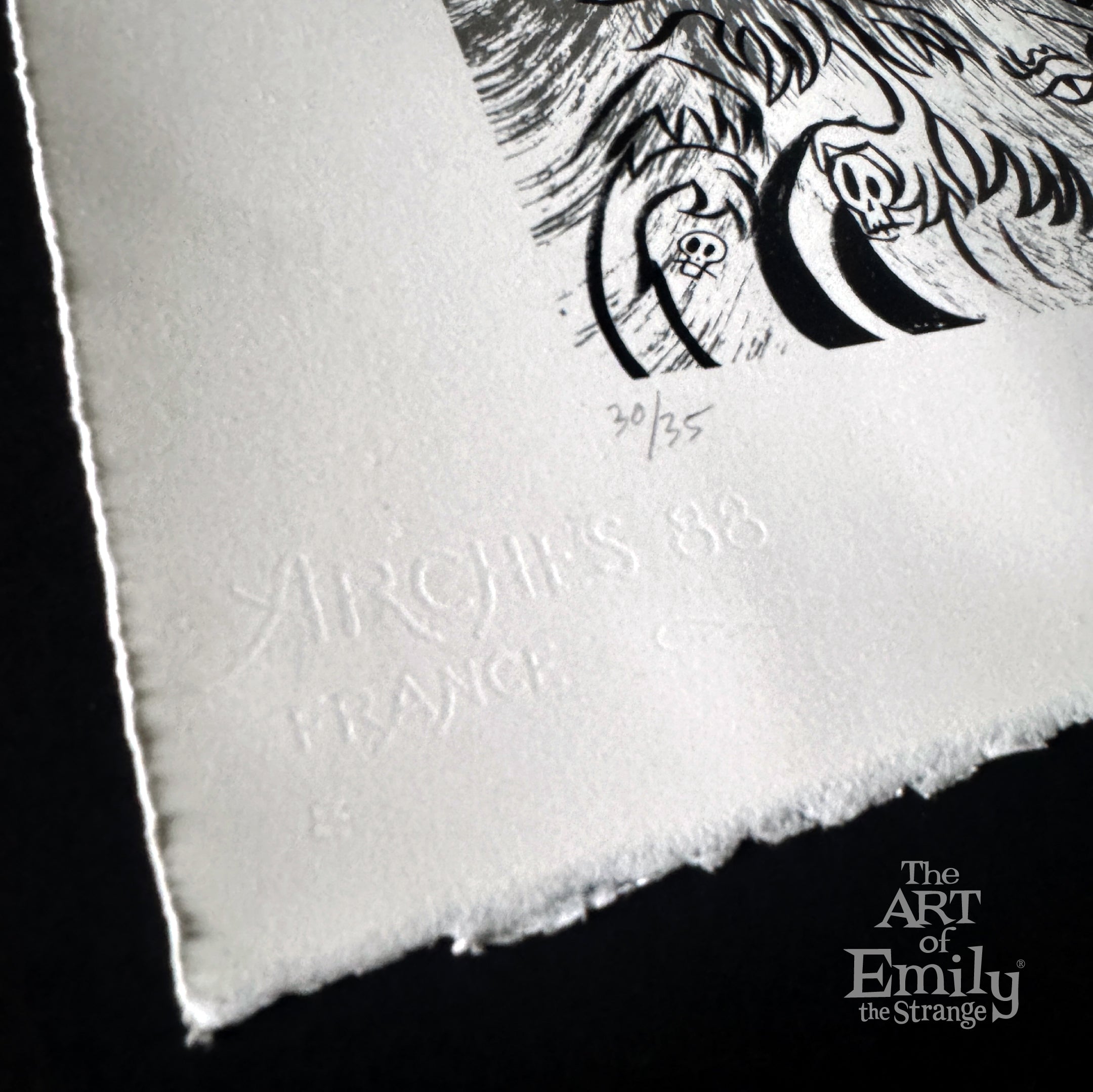 The Wave 13th Anniversary Serigraph Emily the Strange RARE Art Print