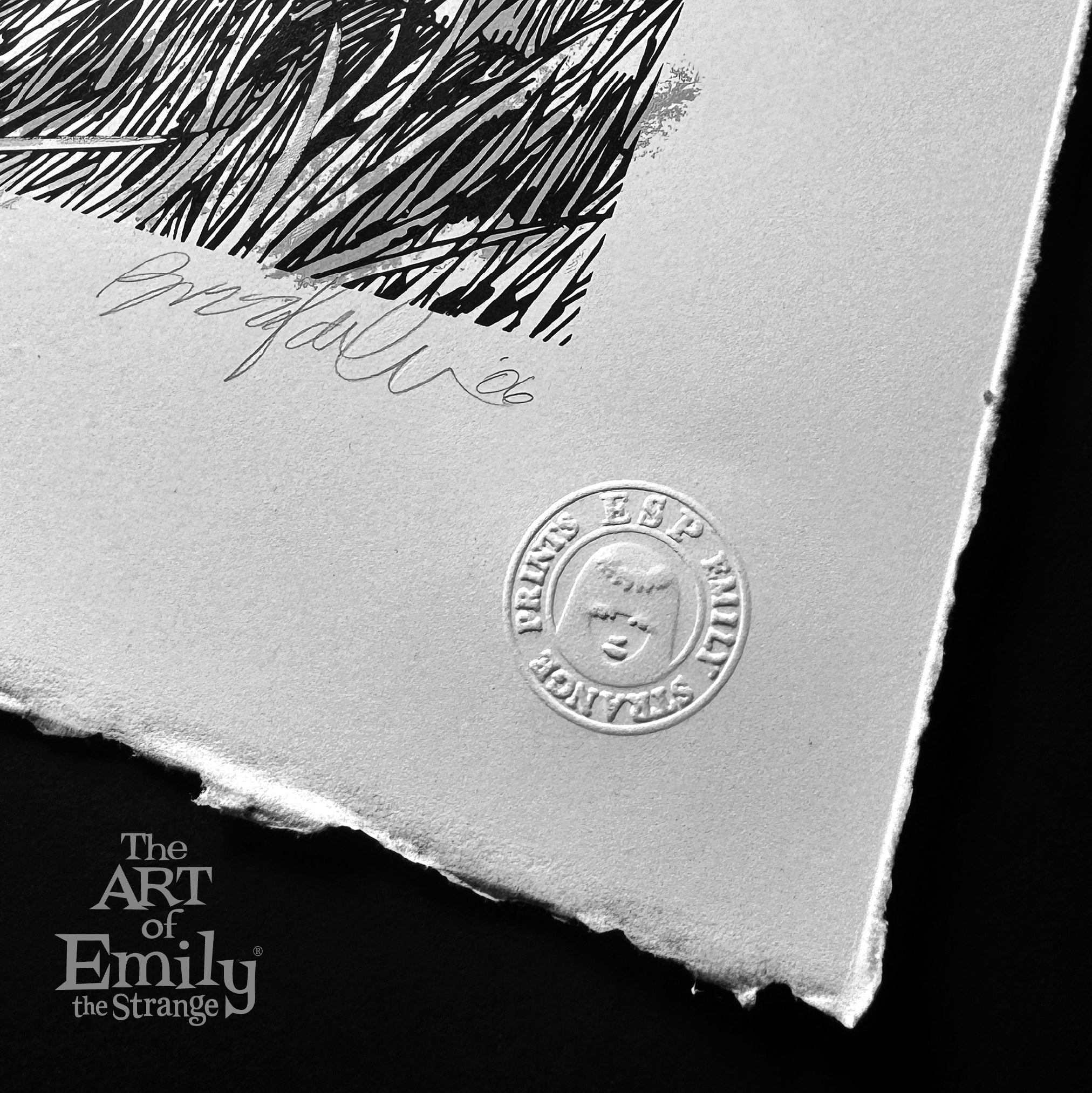 Have A Grey Day 13th Anniversary Serigraph Emily the Strange RARE Art Print