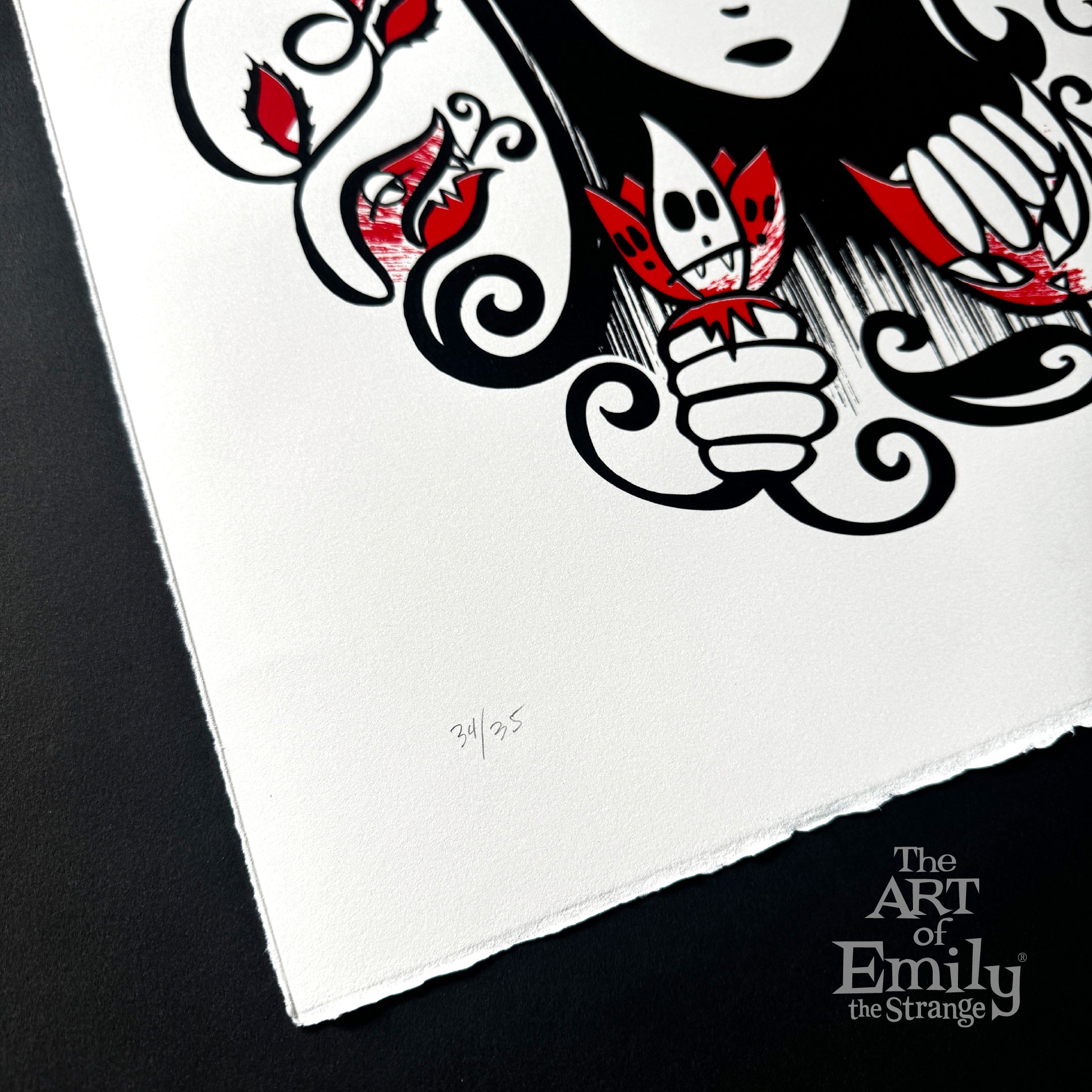 Secret Garden 13th Anniversary Serigraph Emily the Strange RARE Art Print