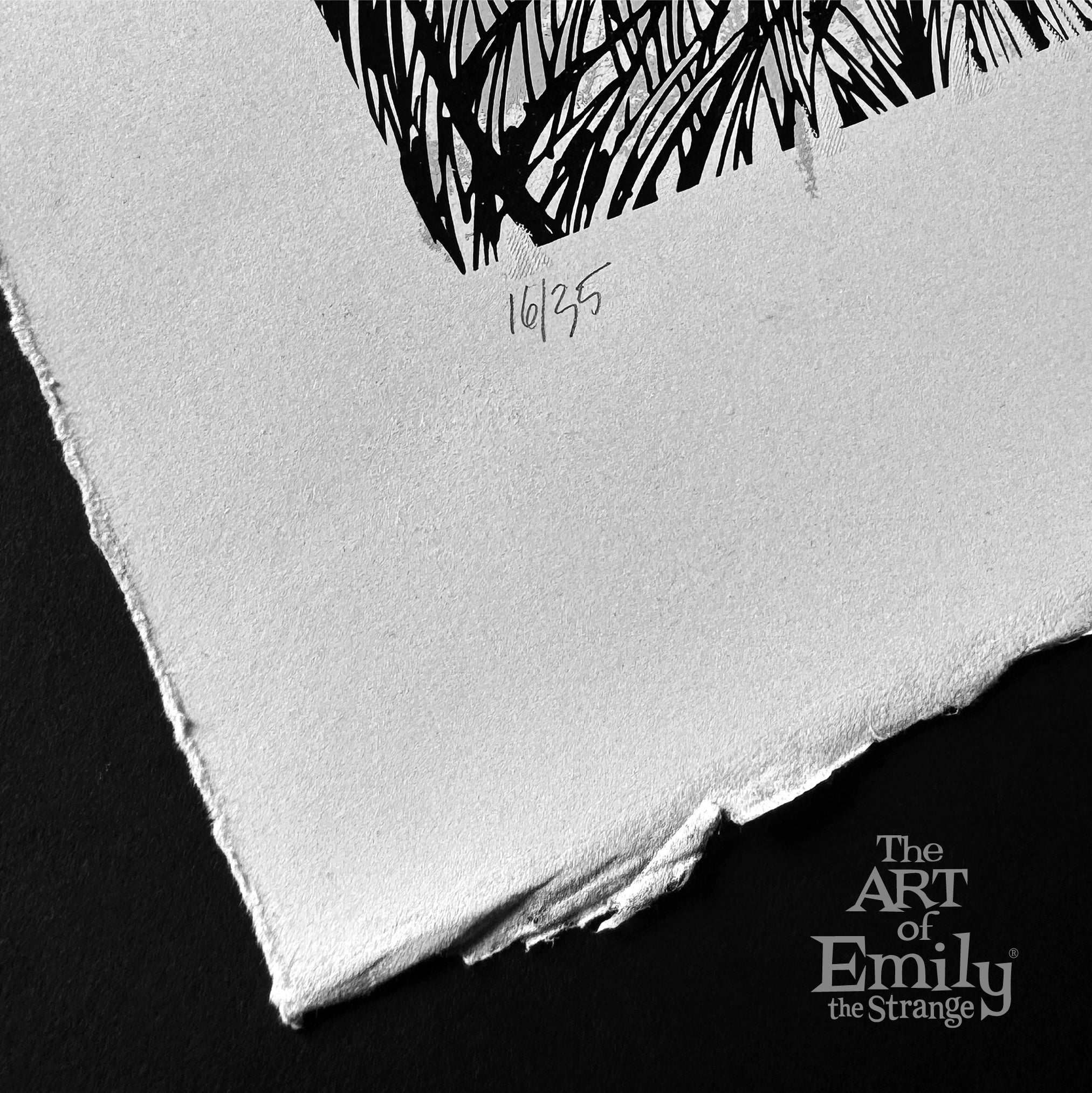 Have A Grey Day 13th Anniversary Serigraph Emily the Strange RARE Art Print