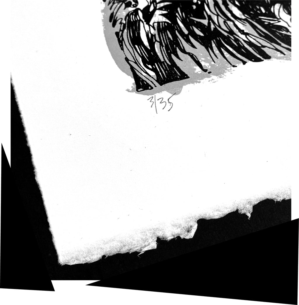 Emgraven 13th Anniversary Serigraph Emily the Strange RARE Art Print